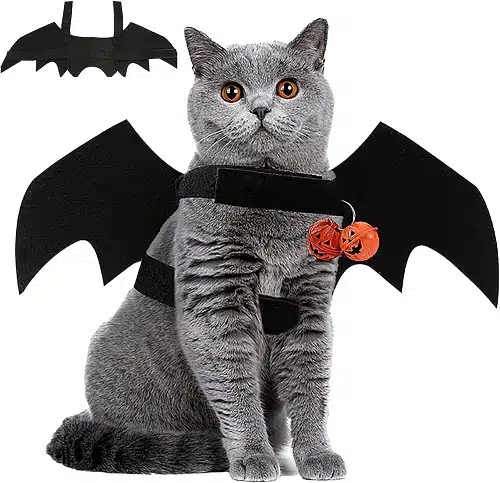 Pet Cat Halloween Costumes You Can Order Online - PD Insurance